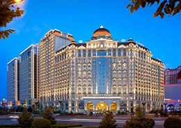 �Ƶ������